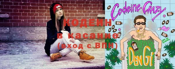 крисы Богородицк