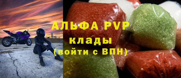 гашик Богданович