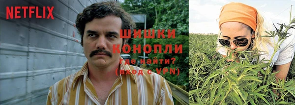 кокаин Бородино