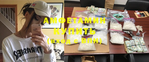 крисы Богородицк