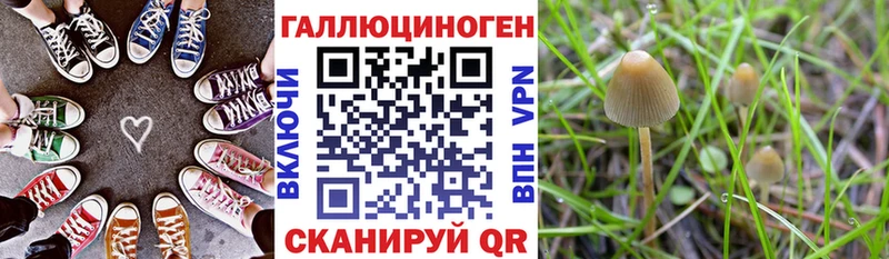 Псилоцибиновые грибы Psilocybine cubensis  даркнет сайт  Бугуруслан 